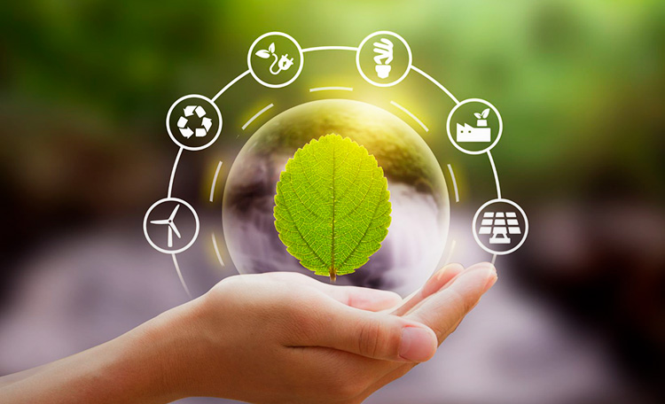 How can Life Cycle Analysis (LCA) help projects seeking LEED certification and ESG strategies?