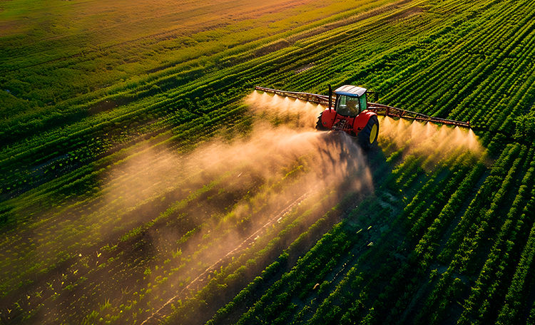 Valuation in Agriculture in the Age of Data
