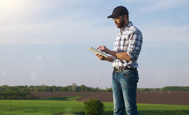 Valuation & Advisory Farm Properties