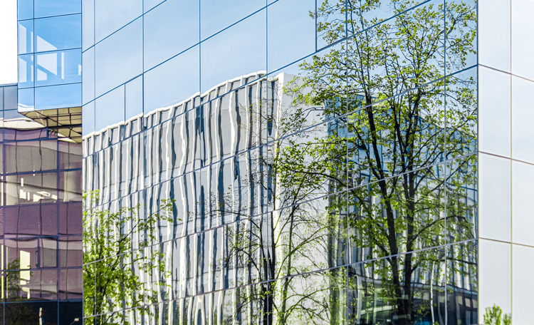 Green is Good Sustainable Office