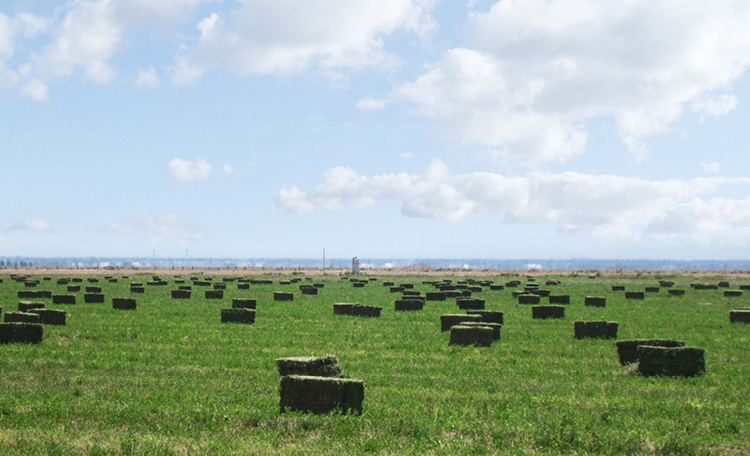 Nebeker Ranch Water Rights