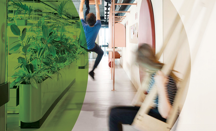 5 Essentials for a Healthy Workplace
