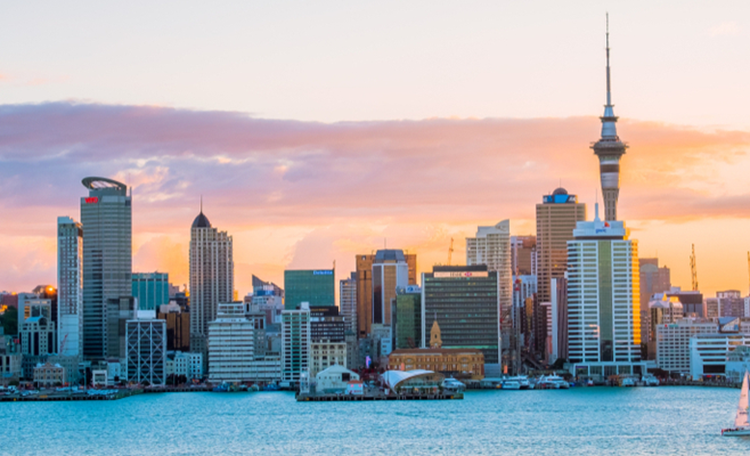 New Zealand Team Delivers During Global Pandemic