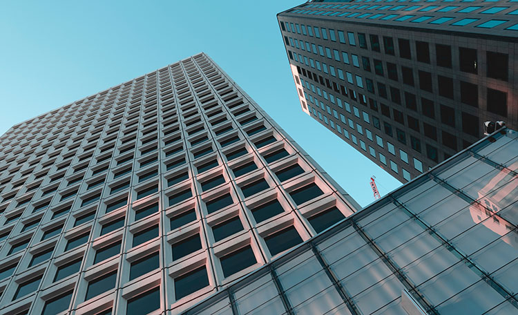 Case Notes: Croghan v Blacktown City Council, January 2019