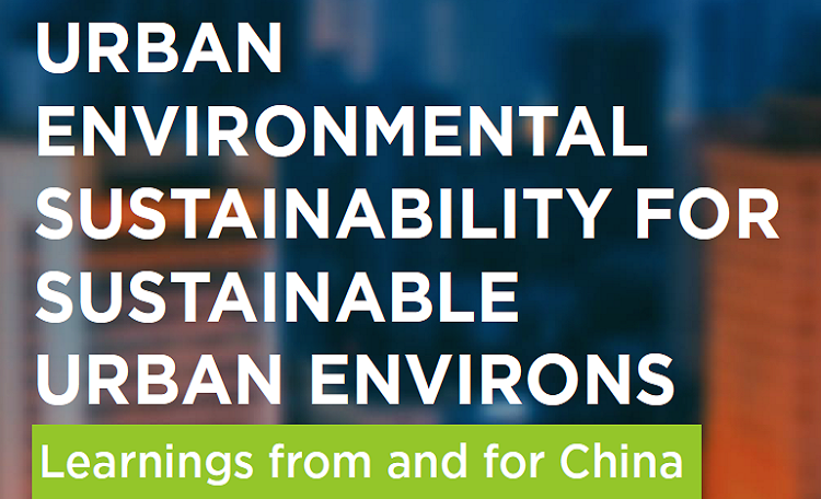 Urban Environmental Sustainability For Sustainable Urban Environs — Learnings From And For China