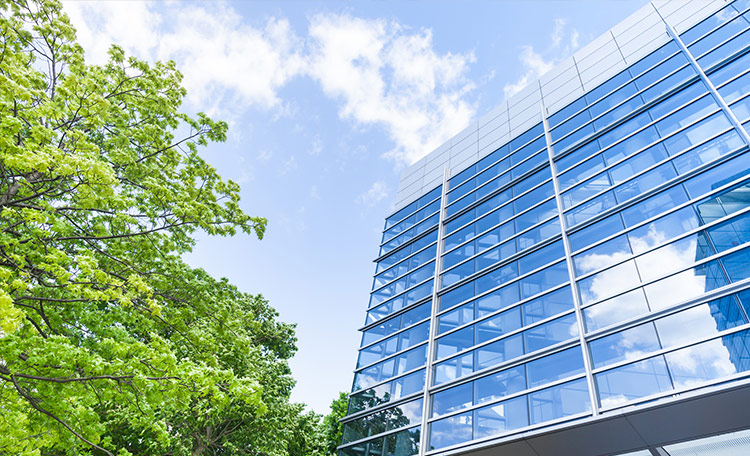 Vingroup Selects Cushman and Wakefield for Portfolio Valuation and Advisory