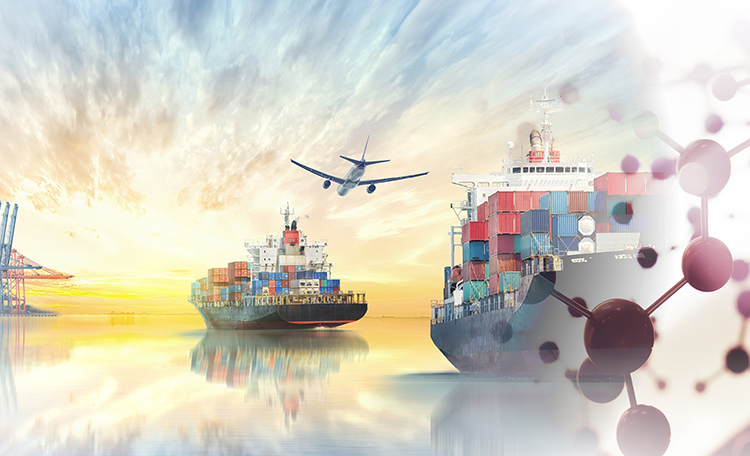 COVID-19 and the Belgian logistics market