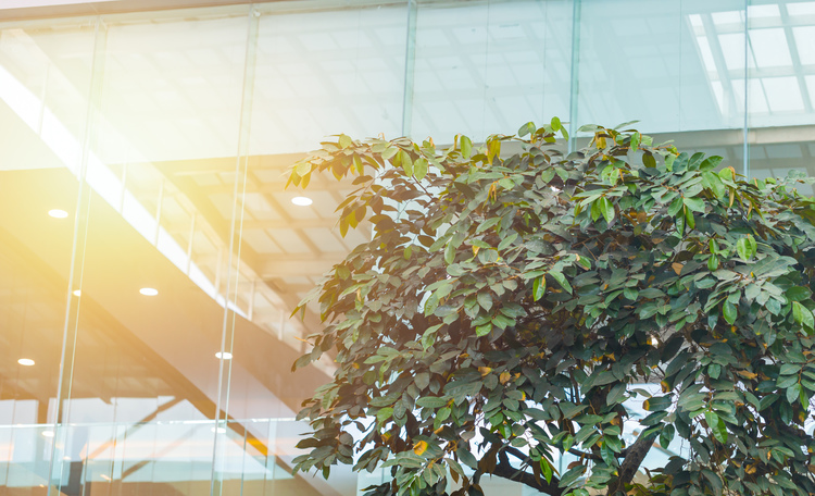 Webinar: Carbon Neutrality - Shifting to Neutral to Drive Real Estate Sustainability