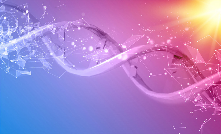 DNA of Real Estate