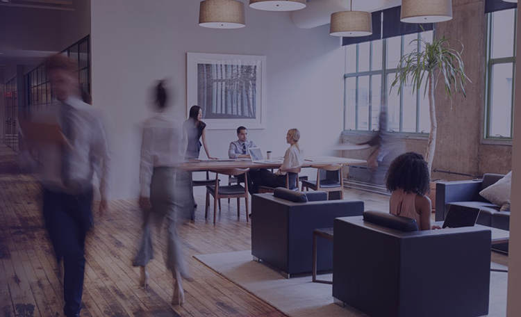 Staff expansion in the Office Agency division in Germany in full swing