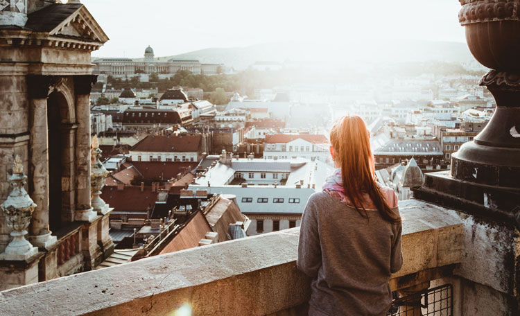The Investor's Guide to Hungary
