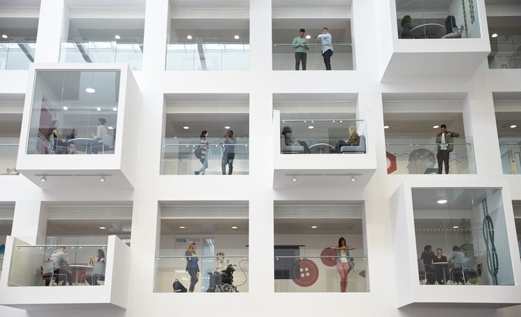 Irish Living Sector