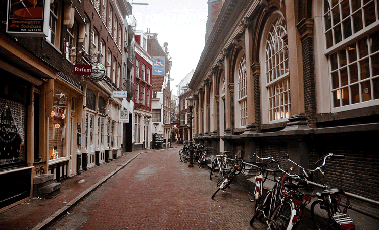 Netherlands Real Estate Market View