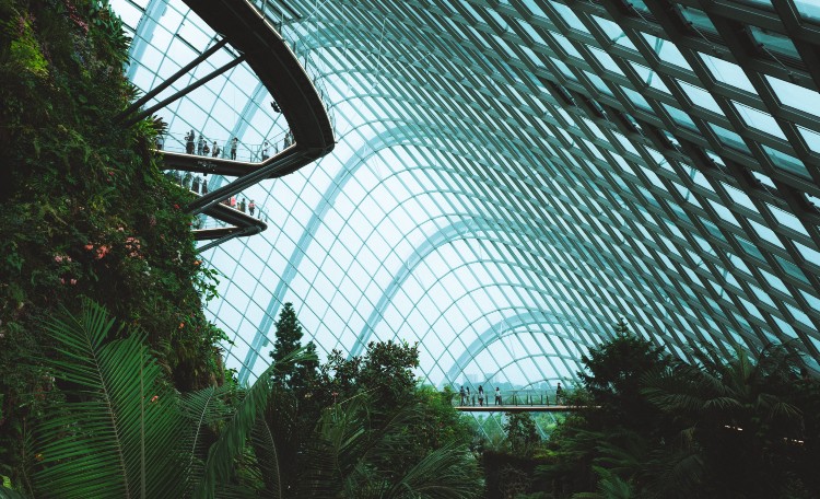 The smart Smart City