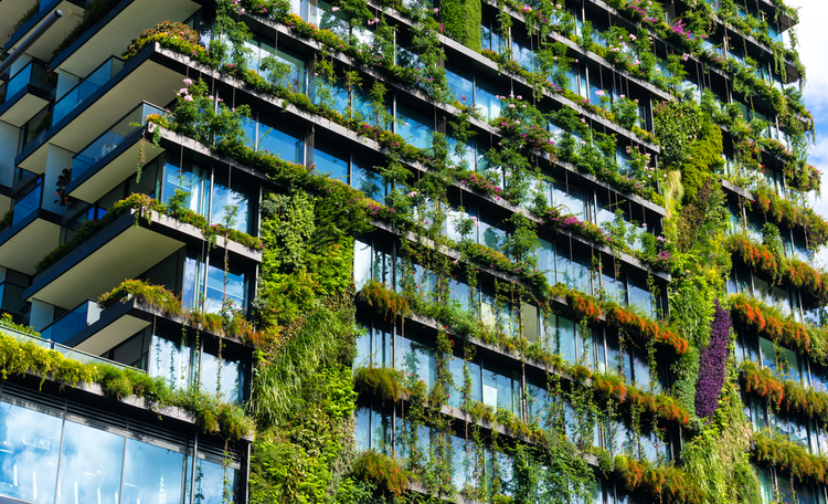 BASF Mexico Headquarters Achieves LEED Certification