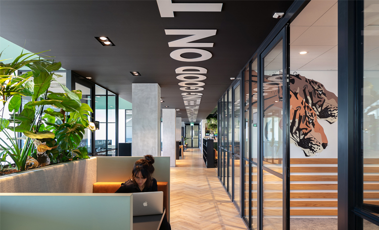 Designing and building their own office suite