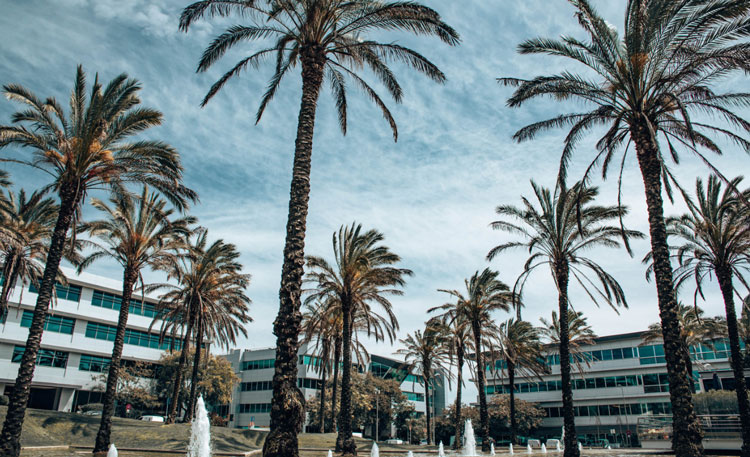 Tarkett occupies a new 490 sq.m office space in Lagoas Park