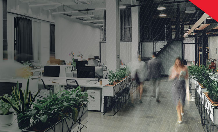 Cushman & Wakefield Makes Strategic Investment of $150 Million in WeWork