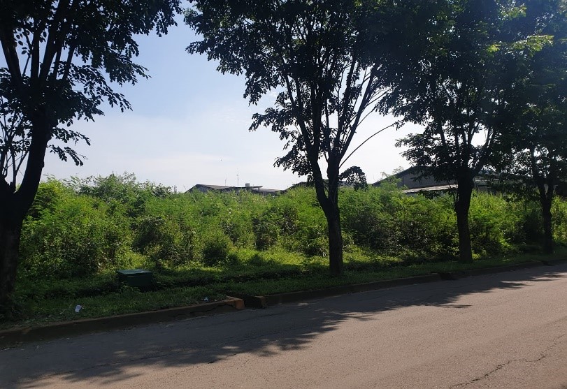Industrial Land at Lippo Cikarang