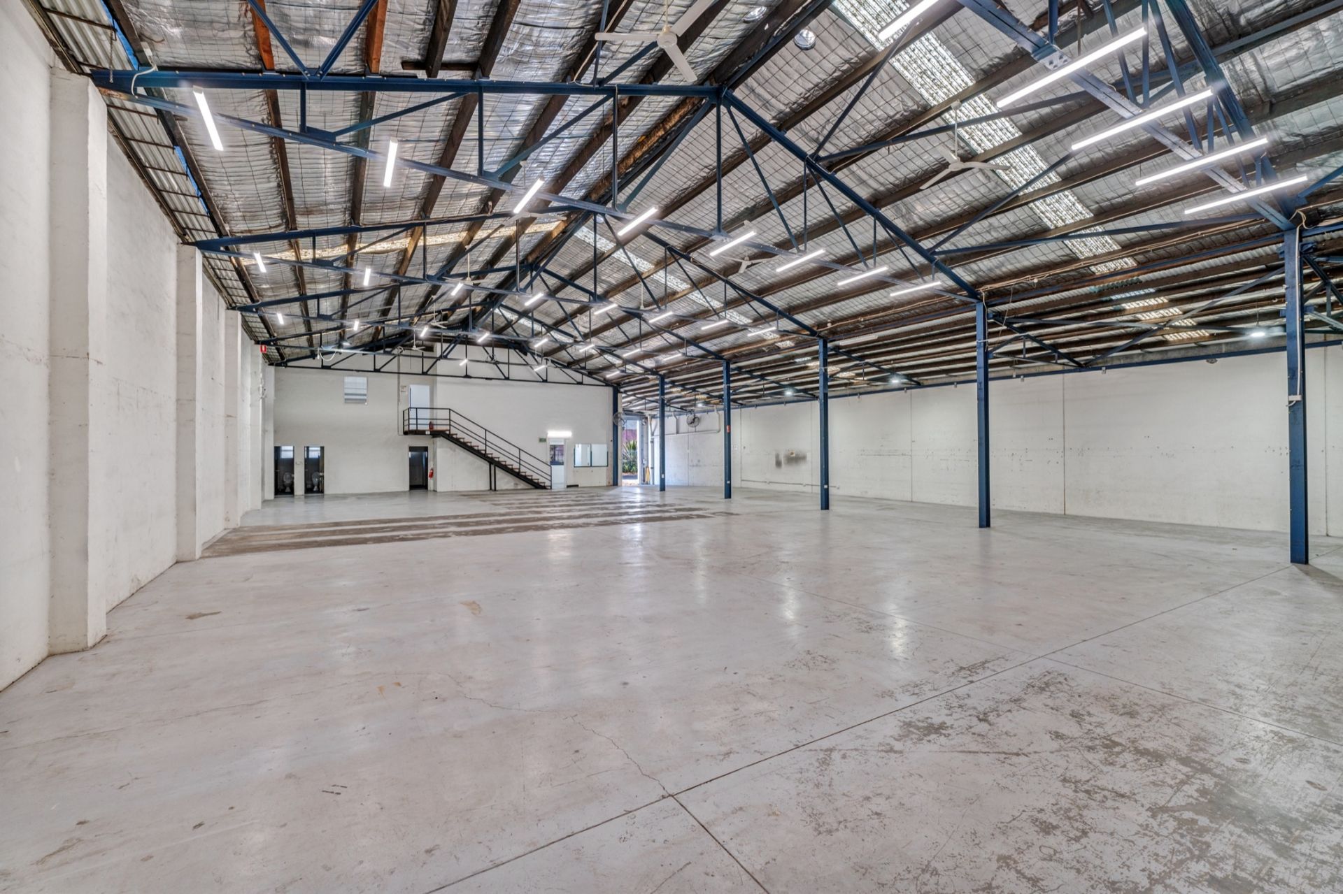 Dynamic Mascot Industrial Freehold