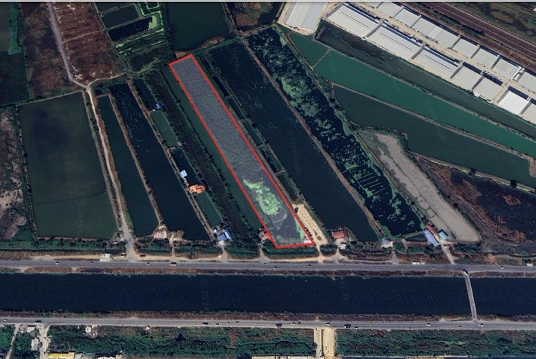Land For Sale 14-0-0 Rai in Samutprakarn (Bangna Km.19)
