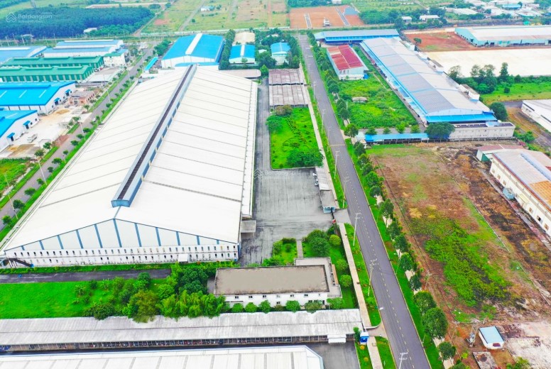 Factory For Rent In Dong Nai City, Viet Nam
