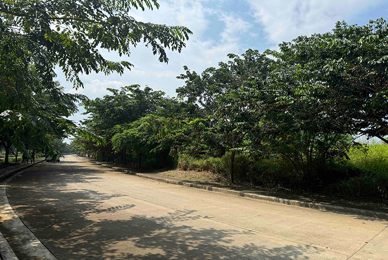 Industrial Lot For Sale