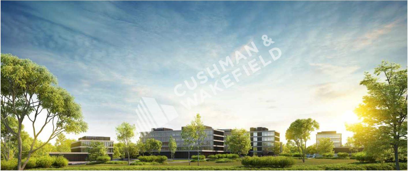 DRIE LINDEN 1