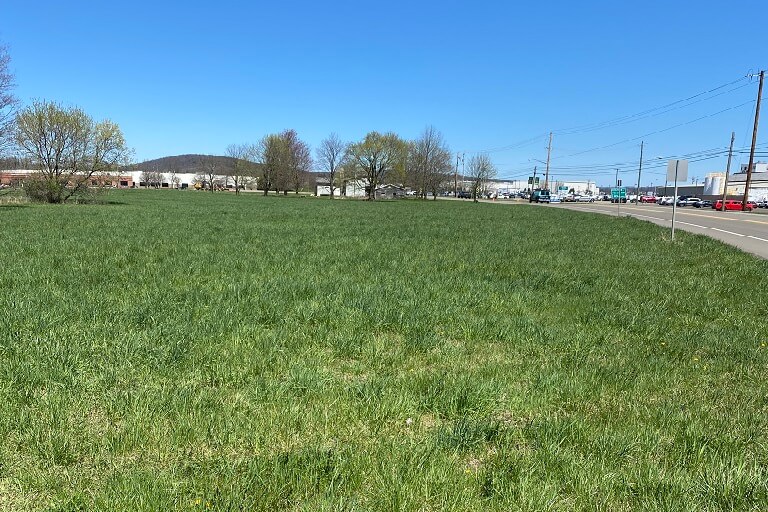 Development Site