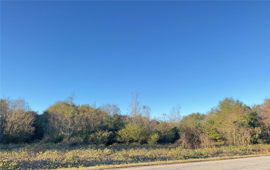 SW Corner of I-75 & Highway 26 - Elko, GA