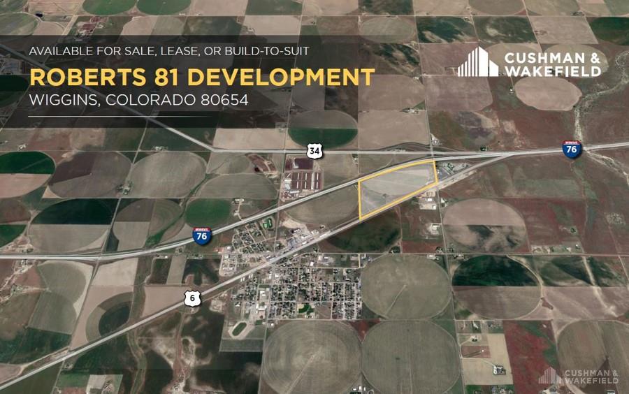 Roberts 81 Development