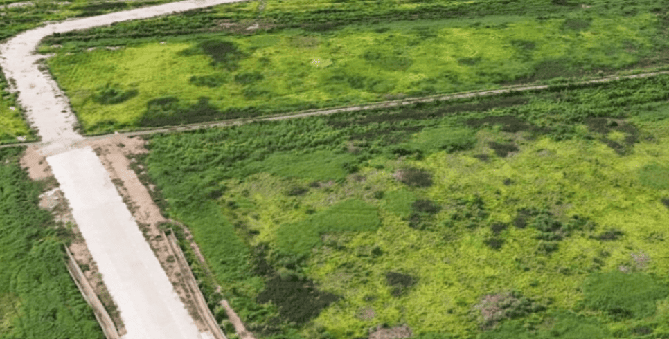 Land for Sale 115 Rai at Bang Pakong, Chachoengsao