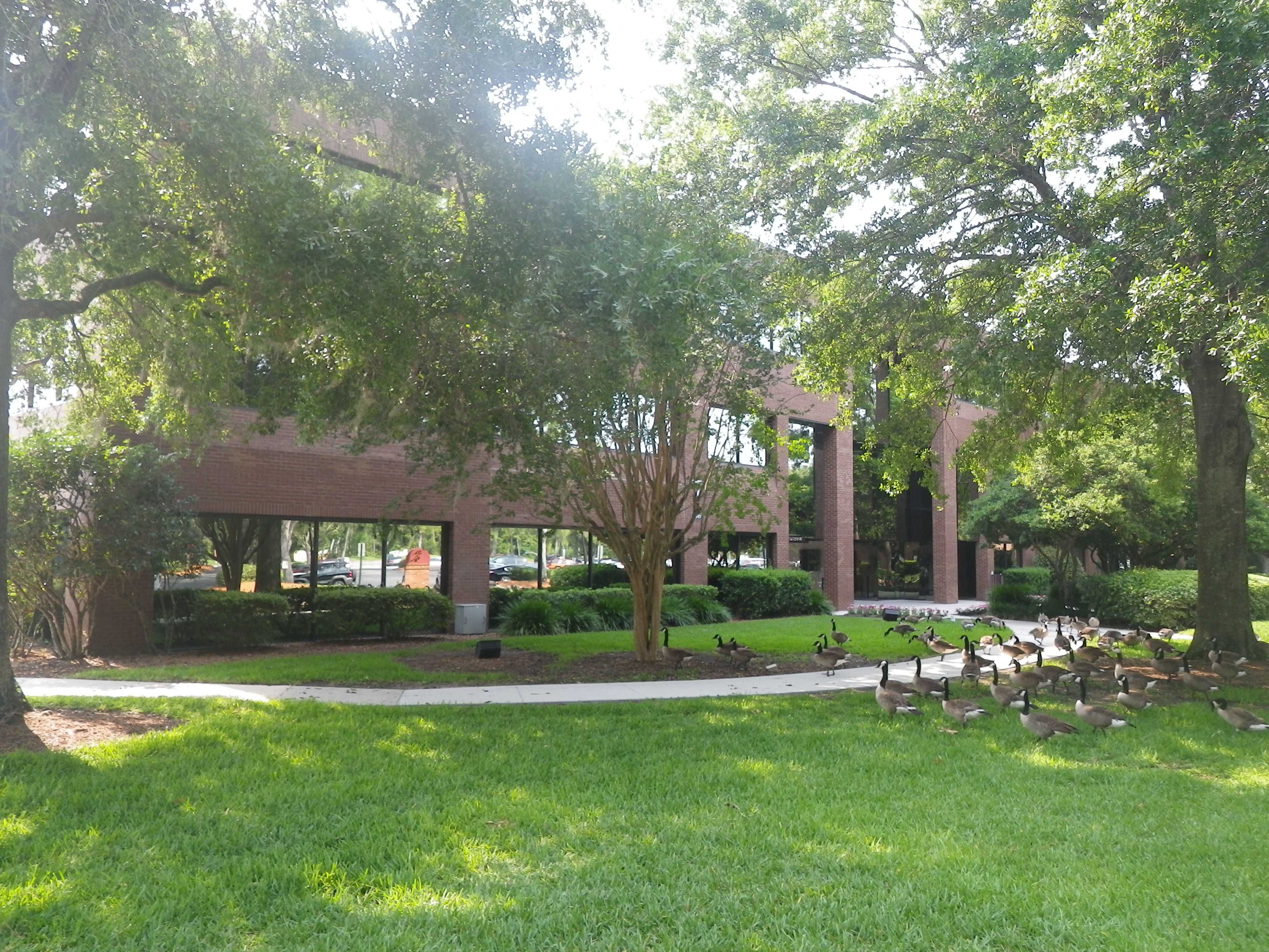 Spring Lake Business Center 3