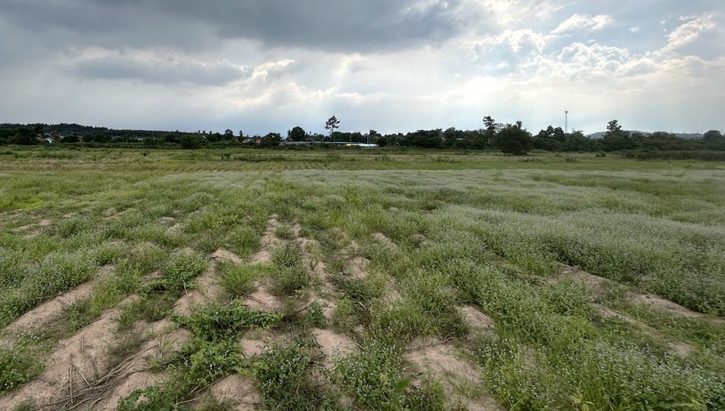 Industrial Land for Sale 50 Rai in Rayong