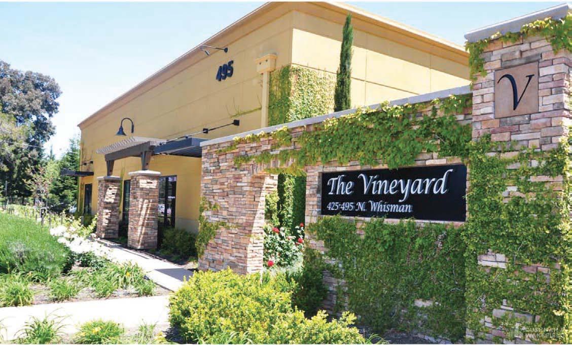 The Vineyard
